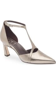 Ezlyn T-Strap Pointed Toe Pump at Nordstrom